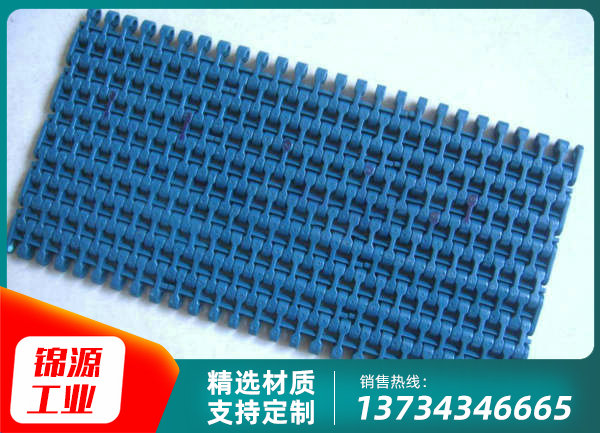 500平格型塑料网带